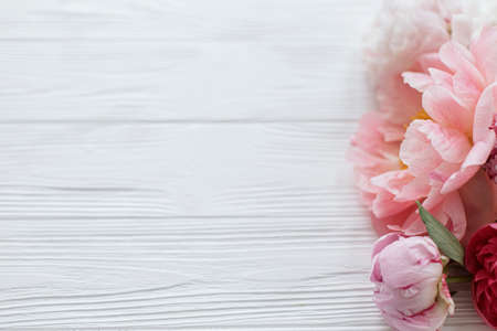 Beautiful tender peony border on white wood with copy space. Lovely pink and white peonies flowers on rustic white wood. Floral greeting card. Happy Mothers dayの写真素材