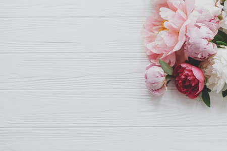Beautiful tender peony flowers border on white wood, flat lay with copy space. Happy Mothers day. Lovely pink and white peonies bouquet on rustic white wood. Floral greeting cardの写真素材
