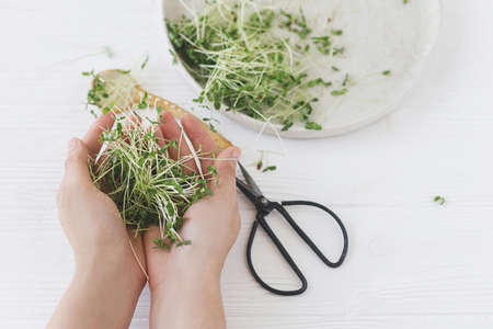Hand holding fresh flax sprouts on background of modern plate, spoon, scissors on white wood....
