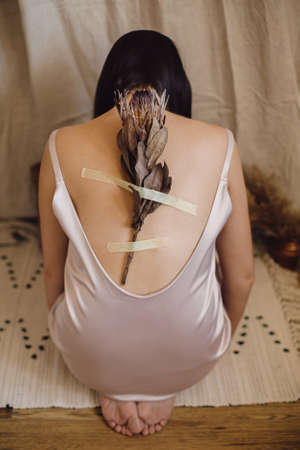 Dry protea flower on duct-taped on female skin on back. Beautiful sensual woman posing with protea flower and tape on back in bohemian style room. Unusual art photo. Self care conceptの写真素材