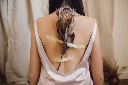 Dry protea flower on duct-taped on female skin on back. Beautiful sensual woman posing with protea flower and tape on back in bohemian style room. Unusual art photo. Healing and recoveringの写真素材