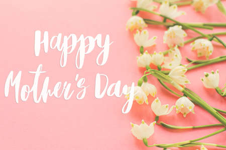 Happy mother's day. Happy mother's day text and spring flowers border on pink paper. Stylish floral...