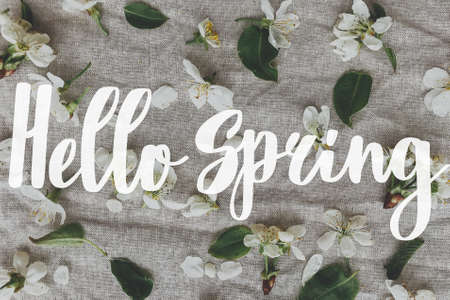 Hello spring. Hello spring text and spring flowers, cherry blossoms, apple petals, leaves on linen cloth. Handwritten lettering. Springtime. Stylish floral greeting cardの写真素材