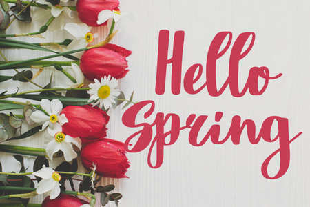 Hello spring. Hello spring text and beautiful red tulips, daffodils, daisy flowers border on white wood flat lay. Handwritten lettering. Springtime. Stylish floral greeting cardの写真素材