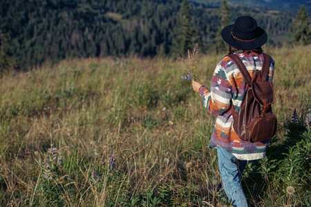 Woman traveler with backpack and hat gathering wildflowers on beautiful mountain hills. Wanderlust and travel concept. Stylish female hiking in mountains, atmospheric moment. Space for textの写真素材
