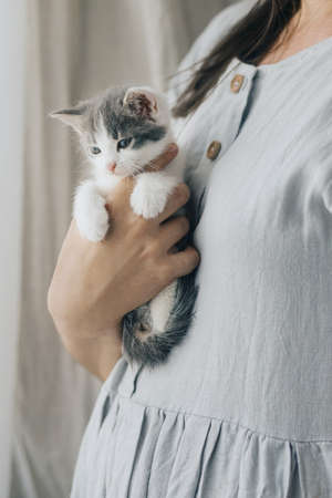 Woman in rustic dress holding cute little kitten in hands. Portrait of adorable curious grey and white kitty sitting in hands in room. Adoption concept. Sweet lovely momentの写真素材