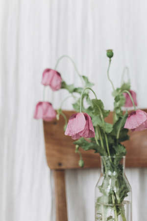 Beautiful poppies bouquet on wooden chair on background of rustic textile in room. Gathering countryside wildflowers, rural still life. Purple opium poppy flowers close upの写真素材