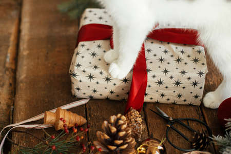 Cute kitten paws on stylish christmas gift with red ribbon and festive holiday decorations on rustic wooden table. Pet and winter holidays. Adorable cat helps wrapping xmas present. Happy holidaysの写真素材
