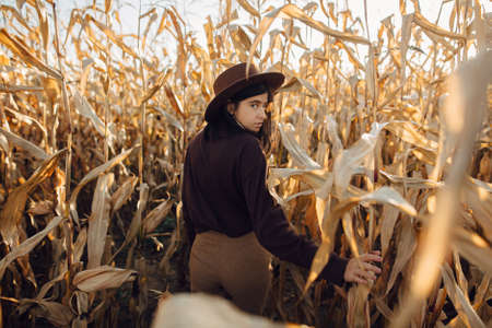 Beautiful stylish woman in brown hat and outfit walking in autumn corn field in warm sunny light. Fashionable attractive young female posing in maize in fall season in countrysideの写真素材
