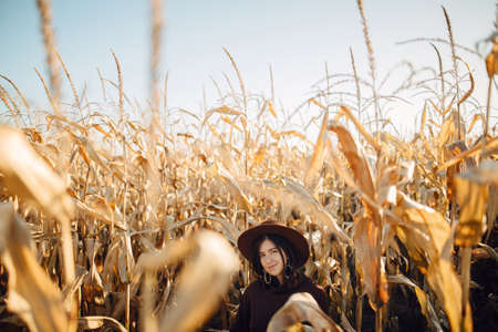 Stylish happy woman in hat and brown outfit posing in autumn maize field in warm sunny light. Fashionable attractive young female with confident look standing in corn in fall season in countrysideの写真素材
