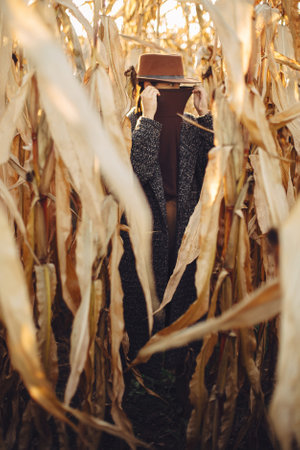 Beautiful stylish woman in brown hat and vintage coat hiding in autumn maize field in sunset light. Fashionable young hipster female in retro outfit posing in autumnal cornの写真素材