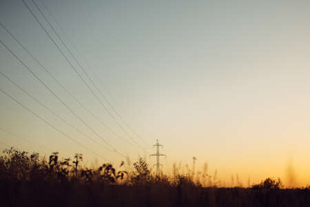 Beautiful autumn field with grass and wildflowers on background of electricity tower with power lines in sunset sky. Wild grass and herbs in fall meadow in evening sunlight. Tranquilityの写真素材