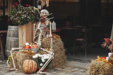 Scary skeleton, bat, pumpkins, flowers and hay stacks in city street, holiday decoration of storefronts and buildings. Spooky Halloween street decor. Space for text. Trick or treat. Happy halloweenの写真素材