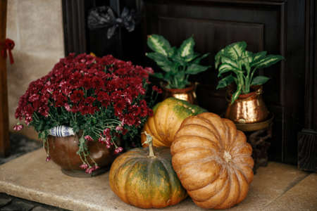 Pumpkins, autumn flowers and plants on sidewalk in city street, festive holiday decor of storefronts...