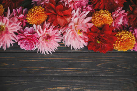 Autumn flowers on rustic wooden background flat lay with space for text. Seasons greeting card template. Beautiful fresh red, pink and orange dahlias flowers on dark table. Autumn in countrysideの写真素材