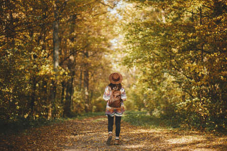 Stylish woman hipster with backpack in hat walking in sunny autumn woods. Young female traveler hiking in fall forest, beautiful moment. Travel and wanderlust concept, space for text. Back viewの写真素材