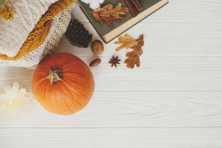 Autumn flat lay with copy space. Pumpkin, cozy sweaters, autumn leaves, burning candle and vintage book on white wooden background in room. Hello autumn, cozy slow living.  Happy Thanksgivingの写真素材