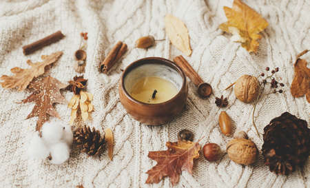 Stylish knitted sweater with burning candle, pumpkins, autumn leaves, nuts, berries. Cozy autumn slow living. Happy Thanksgiving. Hello fall seasonの写真素材