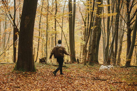 Stylish hipster man walking with cute dog in sunny autumn woods. Young male traveler hiking with swiss shepherd white dog in beautiful forest. Travel with petの写真素材