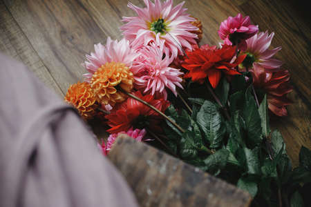 Autumn flowers bouquet on wooden floor in rustic room, view above. Woman in linen dress arranging beautiful colorful dahlias. Autumn season in countryside, rural slow life. Floristの写真素材