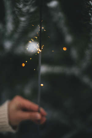 Happy New Year! Hand holding burning sparkler on background of pine tree in snowy park. Woman hand in cozy sweater with glowing firework. Atmospheric magic moment. Happy Holidays!の写真素材