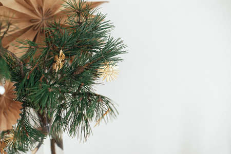 Stylish christmas star straw ornaments on pine branches in vase on background sweden star in festive decorated scandinavian room. Eco plastic free decorations. Space for textの写真素材