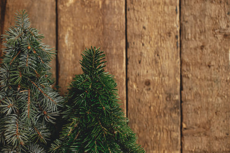 Stylish christmas trees on rustic old wooden background. Space for text. Season's greeting card. Holiday advent. Handmade little pine trees decor. Merry Christmas!の写真素材