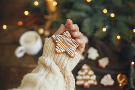 Hand in cozy sweater holding gingerbread cookie star on rustic moody background with coffee, fir...