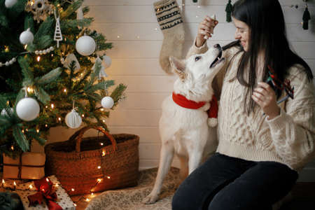 Stylish woman in cozy sweater playing with adorable dog under christmas tree with gifts and lights....