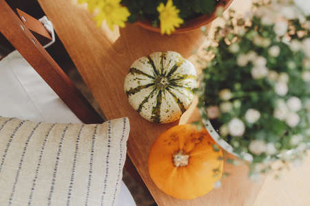 Stylish pumpkins, pillow, chrysanthemums flowers in pots in sunshine on wooden windowsill in rustic room. Hello autumn, home decoration for fall holidays in countryside. Cozy autumnの写真素材