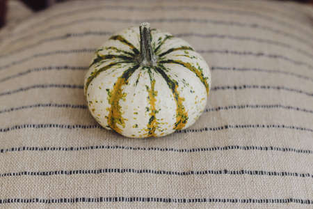 Cozy autumn. Stylish striped pumpkin on modern rustic pillow with lines. Hello autumn, home decoration for fall holidays. Minimalistic imageの写真素材