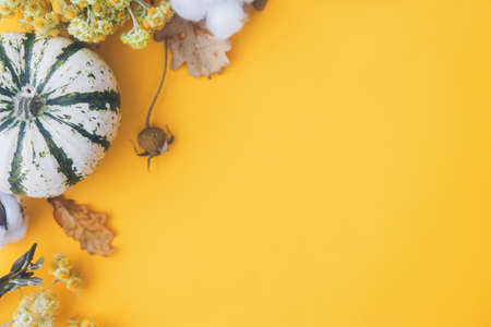 Autumn flat lay. Stylish pumpkin, autumn flowers, cotton and berry on yellow background. Modern fall composition with space for text. Hello autumn. Happy thanksgiving and Halloween cardの写真素材
