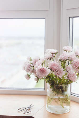 Beautiful autumn flowers and scissors  in light on wooden windowsill. Pink asters flowers at big windows in modern room. Floral decoration for fall holidays in cozy home. Space for textの写真素材