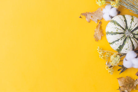 Thanksgiving flat lay. Stylish striped pumpkin, autumn flowers, cotton and leaves on yellow background. Modern minimal fall border with space for text. Happy thanksgiving and Halloween cardの写真素材