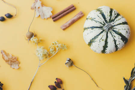 Happy Thanksgiving and Halloween card. Stylish striped pumpkin, autumn flowers, cinnamon, leaves, berry on yellow background. Modern minimal fall composition. Autumn flat layの写真素材