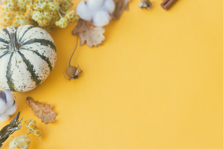 Happy Thanksgiving. Stylish striped pumpkin, autumn flowers, cotton and leaves on yellow background. Modern minimal fall border with space for text. Happy Halloween cardの写真素材