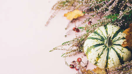 Autumn banner flat lay. Stylish striped pumpkin, autumn leaves and heather on pink background. Modern fall border with space for text. Happy Thanksgiving cardの写真素材