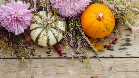 Thanksgiving rustic flat lay. Stylish pumpkins, autumn leaves, purple dahlias flowers, heather on rustic old wooden background. Fall harvest rural banner, space for text. Hello autumnの写真素材
