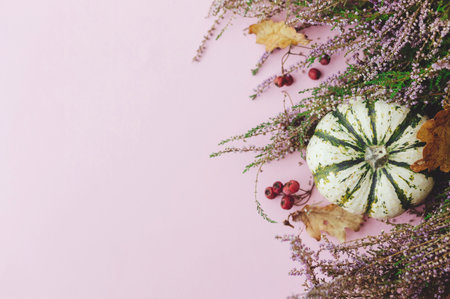 Thanksgiving flat lay. Stylish striped pumpkin, autumn leaves and heather on pink background. Modern fall border with space for text. Happy Thanksgiving cardの写真素材