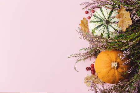 Thanksgiving flat lay. Stylish pumpkins, purple dahlias flowers, leaves and heather on pink background. Modern minimal fall border with space for text. Happy Thanksgiving and Halloween cardの写真素材