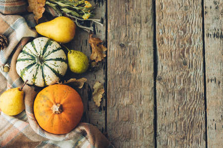 Happy Thanksgiving flat lay. Stylish pumpkins, autumn leaves, pears and cozy scarf on rustic old...