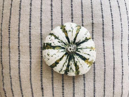 Stylish striped pumpkin on modern rustic pillow with lines. Pumpkin flat lay. Hello autumn, home decoration for fall holidays. Minimalistic imageの写真素材
