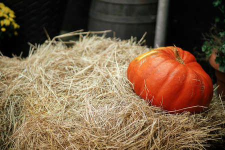 Pumpkin on hay stacks in city street, festive holiday decor. Halloween festive decoration outdoor. Happy halloween. Autumn market in town. Harvest time. Copy spaceの写真素材