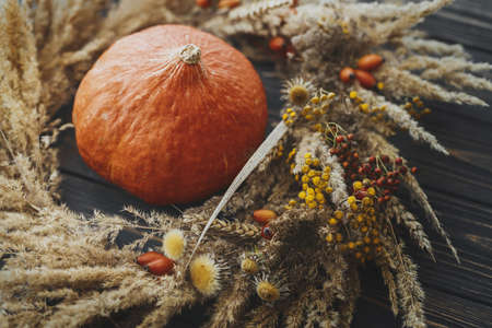 Autumn harvest and Happy Thanksgiving concept. Pumpkin in stylish autumn rustic wreath. Creative boho wreath with dry pampas grass, tansy wildflowers, wheat and squash on dark wooden tableの写真素材