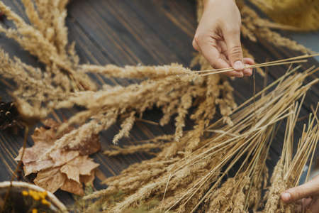 Hands holding dry grass and making stylish wreath with wildflowers, herbs and berries on rustic wooden background. Making rustic autumn boho wreath, holiday workshopの写真素材