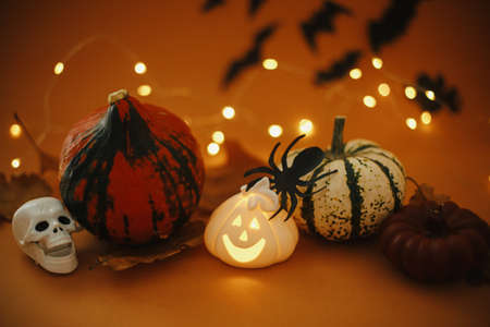 Atmospheric Halloween background. Pumpkins, glowing jack o lantern, skull, spider decoration on dark orange background with magical lights and flying black bats. Happy Halloween. Trick or treatの写真素材