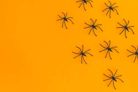 Halloween flat lay. Spiders layout on orange background with space for text. Happy Halloween, Season's greeting card. Halloween decorations border on yellow paper. Minimaの写真素材