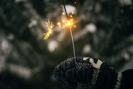 Happy New Year! Hand in cozy glove holding burning sparkler on background of pine tree branches in...