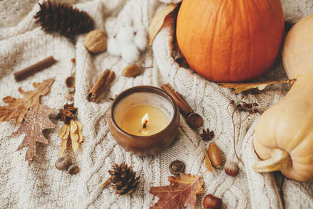 Cozy autumn days. Stylish knitted sweater with burning candle, pumpkins, autumn leaves, nuts, berries. Happy Thanksgiving and Halloween. Hello fall seasonの写真素材