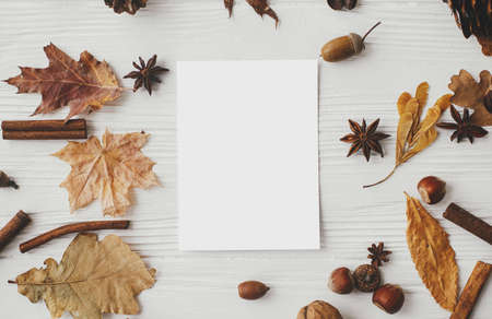 Blank card and autumn leaves, nuts, anise, acorns, cinnamon on white wood, flat lay. Seasons greeting card mock up. Happy Thanksgiving and Halloween postcard template. Space for textの写真素材